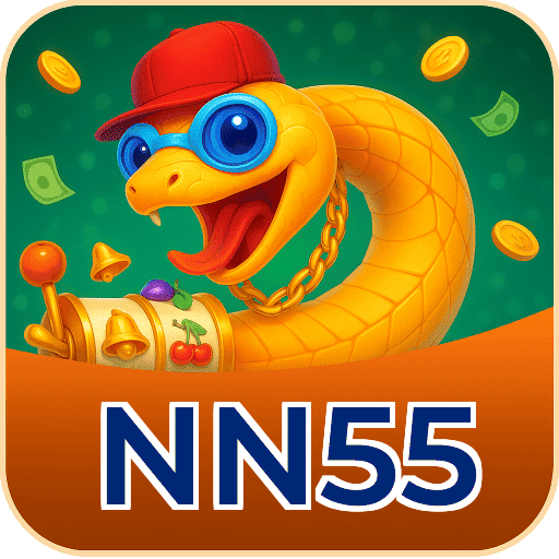 NN55 logo